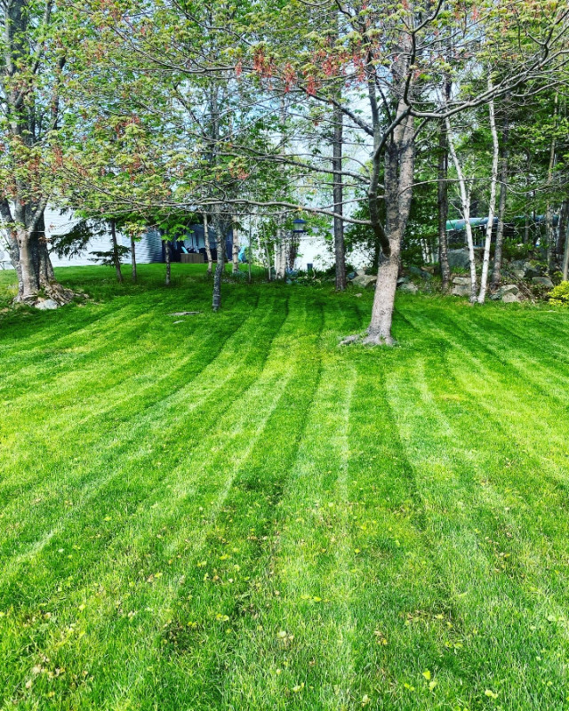 The MOST Affordable Weekly Lawn Care Service! in Lawn, Tree Maintenance & Eavestrough in Dartmouth - Image 2