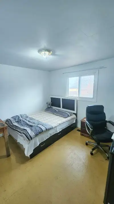 Room for rent near woodbine beach