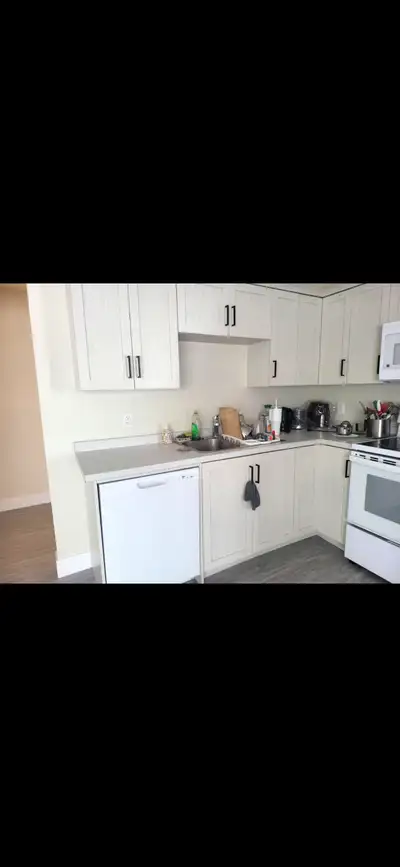 Furnished room available for rent in a 2 bedroom apartment. Currently has 1 girl staying, looking fo...