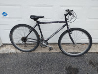 Tuned Concord mountain bike (18.5" frame)