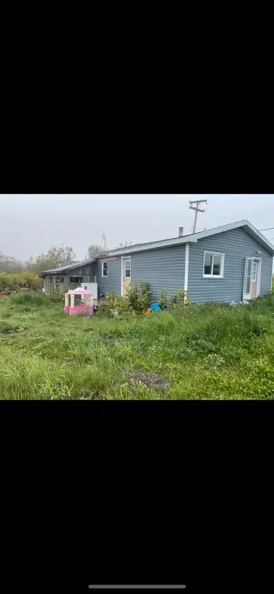 house for rent in birch grove available right away