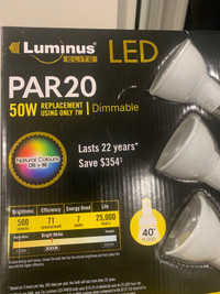 Led bulb, Par20 