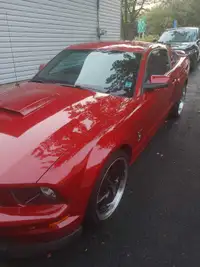 2008 Ford Mustang GT Cobra