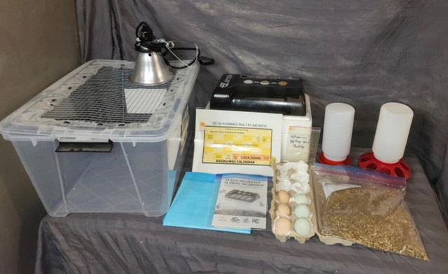Hatching Kit Rentals in Accessories in La Ronge - Image 2