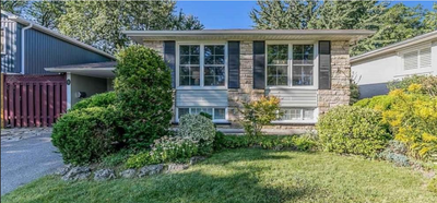 BRAMPTON | MAIN & STEELES | 2 BED | 1 BATH BASEMENT FOR RENT 2 BED, 1 BATH BASEMENT FOR RENT IN BRAM...
