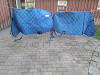 Quilted Draft Horse Blankets
