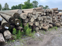 Hydro Poles for Sale