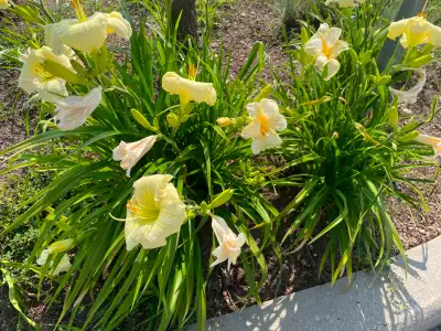 Single-Mom is Looking for New Walking Buddy, View more