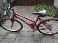 Adult Bike (26 inch)