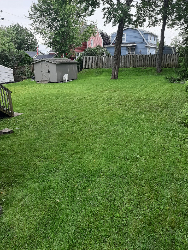 SPRING AND SUMMER LAWN CARE in Lawn, Tree Maintenance & Eavestrough in City of Halifax - Image 3