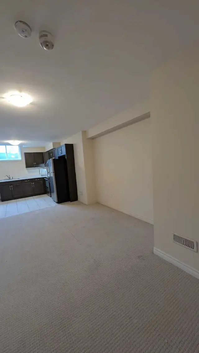 Painter, construction525303516664309765
