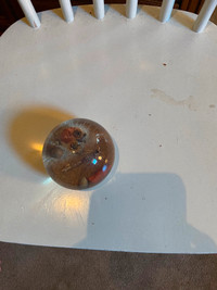 Glass round real scorpion inside