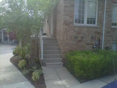 $900 Room for rent International Students/Professionals all in.