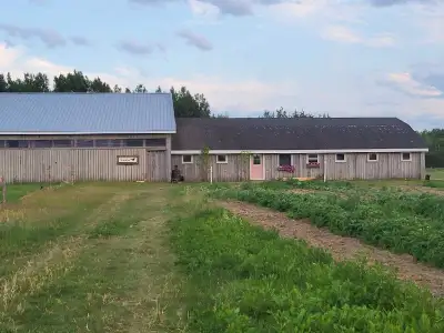 horse barn and indoor arena for rent , View more