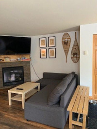 Ski Condo in Mont Ste. Marie