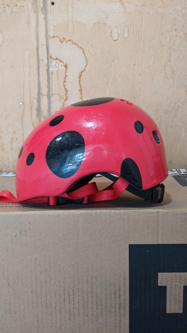 Ladybug Toddler Bicycle Helmet in Clothing, Shoes & Accessories in Winnipeg - Image 2