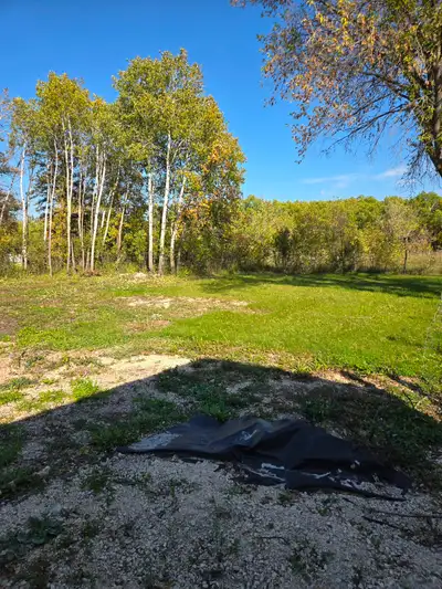 100' x 100', partially treed, ready for your RTM or to build your dream home, next to 31 Gunn St, Gu...