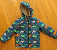Kids Dino Jacket Fall/Early Winter/Spring Size 4-6