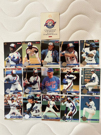 Cartes de Baseball Expos 25ième Anniversaire