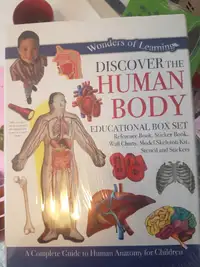 Human body educational kit for children