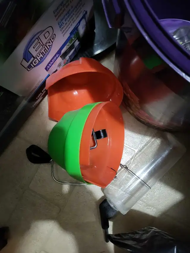 Hamsters home and drinking bottle in Accessories in Saskatoon - Image 5