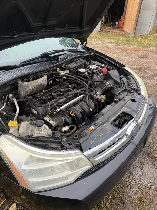 Ford focus 65449144795394125