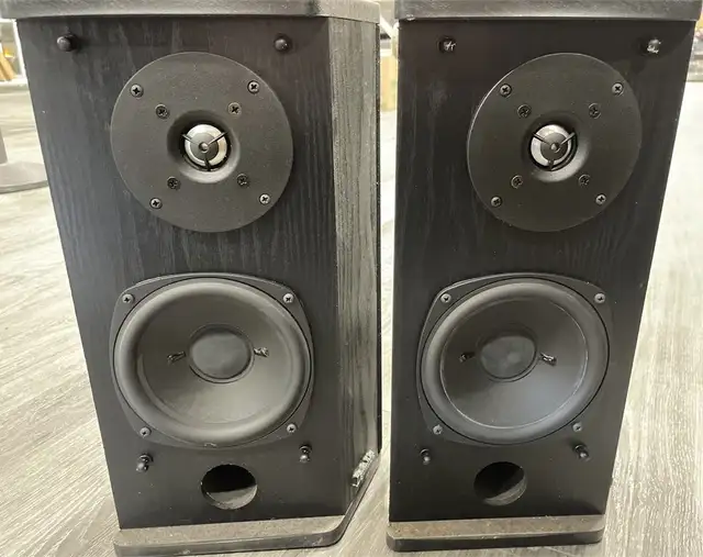 Definitive Technology CLR & BP2X Speaker Set – Audiophile Qualit in Speakers in Delta/Surrey/Langley - Image 6