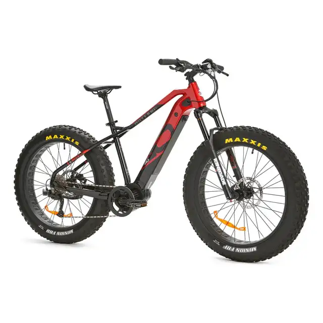 iGO Outland Torngat RS - Mid Drive Fat eBike in eBike in Calgary - Image 3