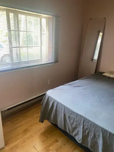 Looking for a quite, mature,clean person