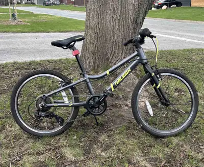 Raleigh Meteor 20, View more