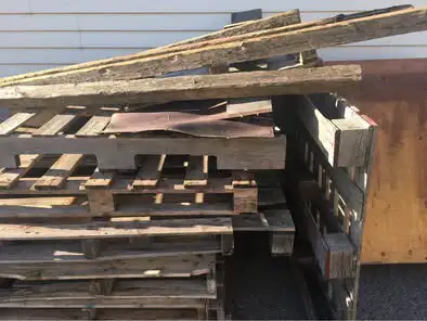 Free wood good for projects or firewood in Free Stuff in Kingston - Image 6