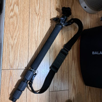 carbon monopod and head
