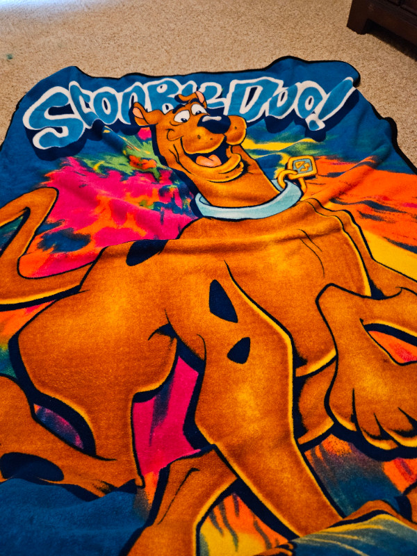 Fun blankets in Bedding in Edmonton - Image 4