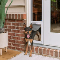 PetSafe Doggie Door for Sliding Glass Doors