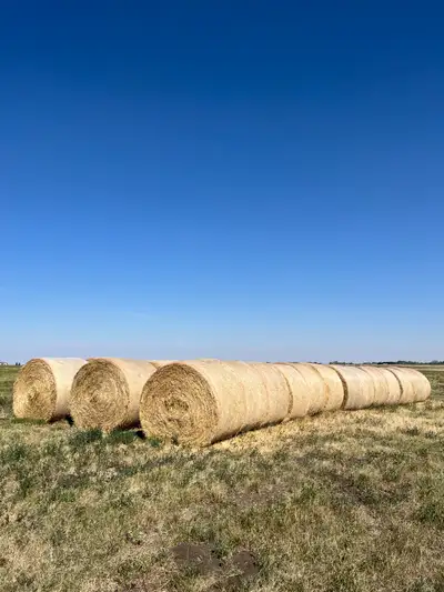 Hay For Sale, View more