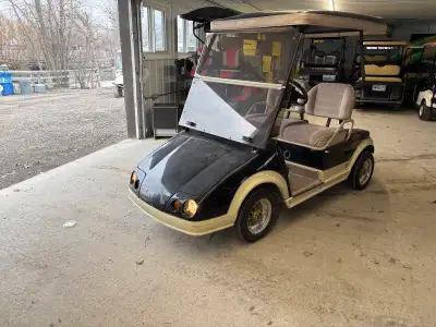 -48 v electric golf cart -Unique body style perfect for customizing or just standing out from the cr...