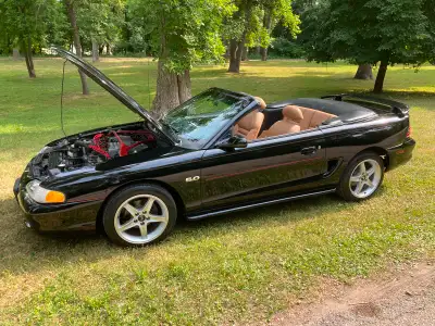 I’ve decided to sell my beauty 1994 SN95 5.0L Mustang GT. Owned for 2 seasons and has been my daily...