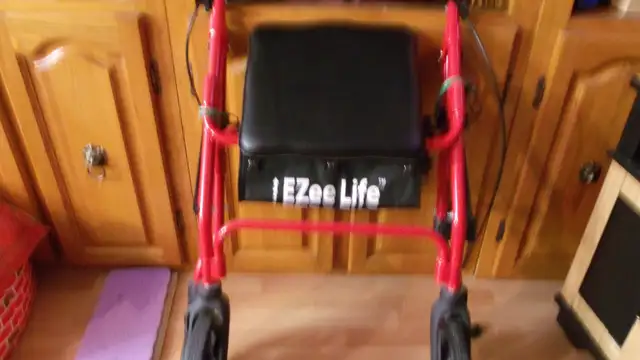 Plus Walker64840211691393120