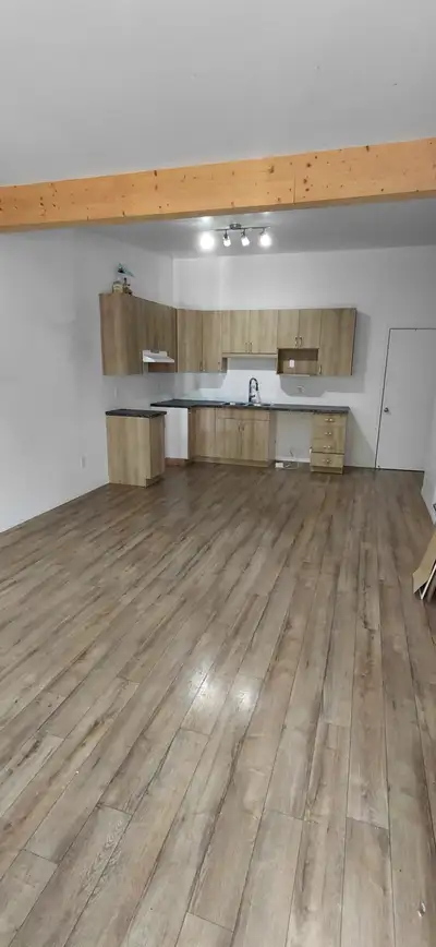 Logement avec salon et cuisine à aire ouverte. Entrée indépendante. Électricité et chauffage au frai...