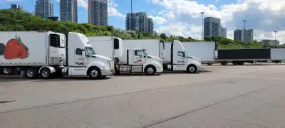 Dz / Az driver local delivery driver wanted, View more