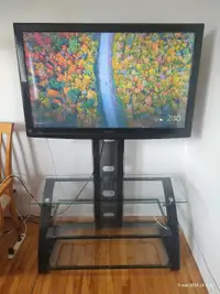 TV 49 pouces avec meuble
