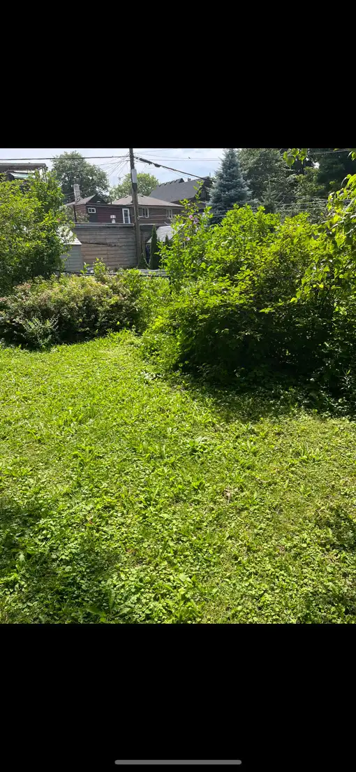 Landscaping and lawn care services GTA63005663687683123