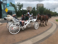 Carriage Wagon Horse Rides