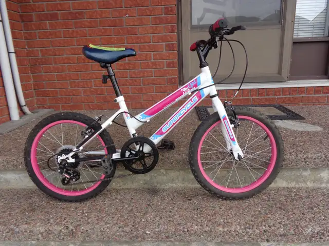 1 BOY & 1 GIRL & 1 RAZOR SCOOTER | Kids | Ottawa | Free local ...