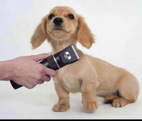 New Low Noise Rechargeable Cordless Pet Hair Trimmer