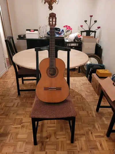 Guitare acoustique Mansfield, View more