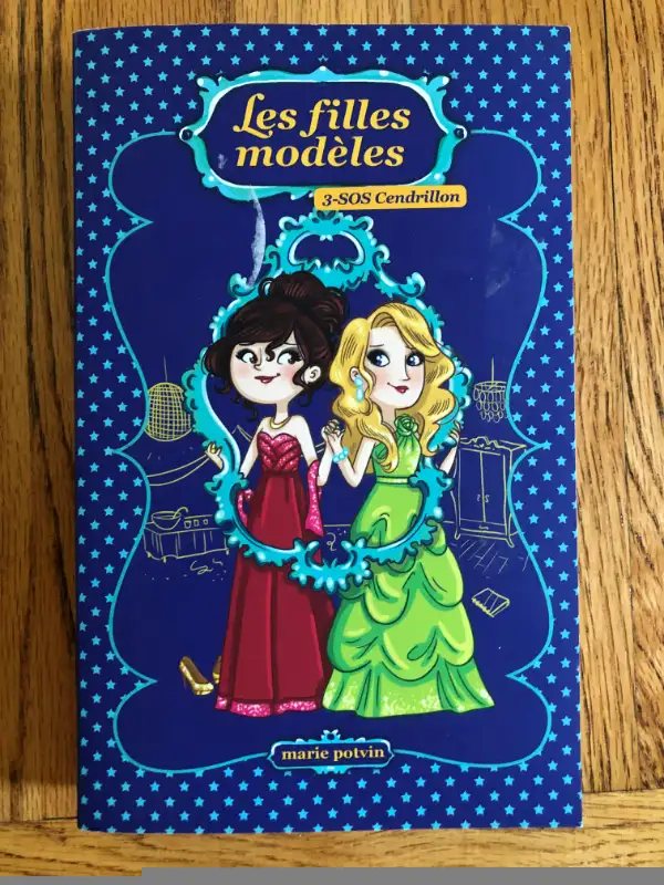 LIVRES ENFANT ADO JEUNESSES : 7$ chaque in Children & Young Adult in Longueuil / South Shore - Image 5