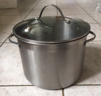 Stainless Steel  Pot With glass Lid  6 liters 7.25" H 10" Dia.