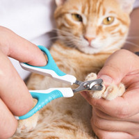 Nails clipping dog&cat