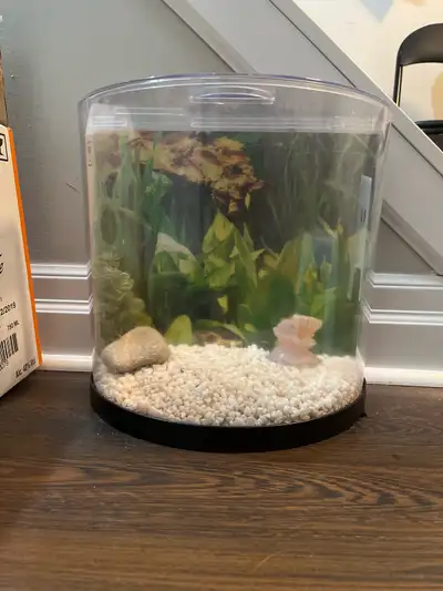 Small Rimless Bow Front Aquairum Setup (yes it is plastic) No leaks and good Conditon Package includ...